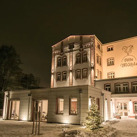 Alte Mühle Hotel&restaurant Rödental
