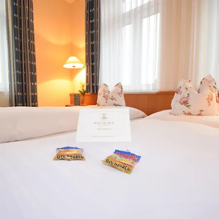 Alte Mühle Hotel&restaurant Hotel 3*