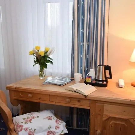 Alte Mühle Hotel&restaurant 3* Rödental