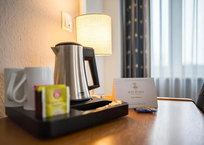 Hotel Alte Muehle & Restaurant 3*