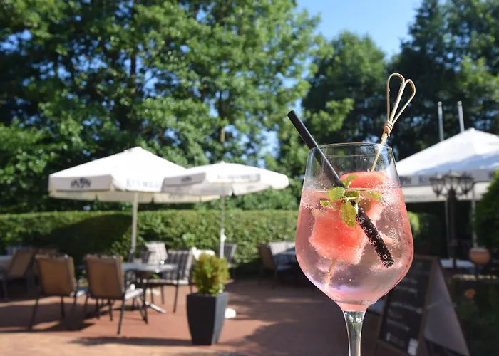 Hotel Alte Muehle & Restaurant 3*