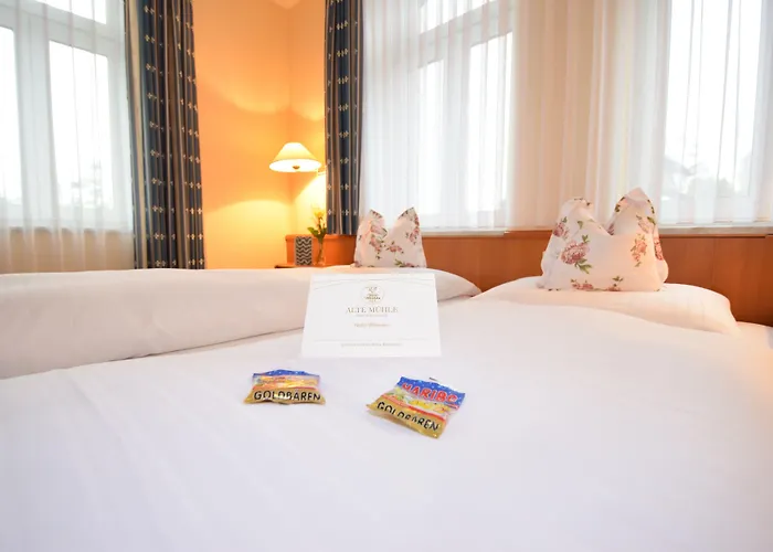 Alte Muehle & Restaurant Hotel 3*