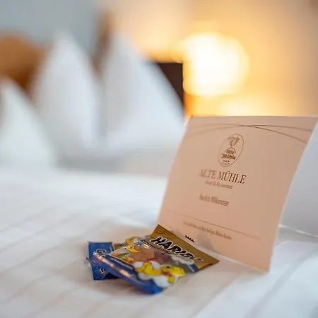 Alte Muehle & Restaurant Szálloda Rödental