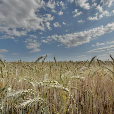 Alte Muehle & Restaurant Rödental