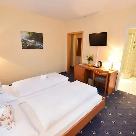 Alte Muehle & Restaurant Hotel 3*