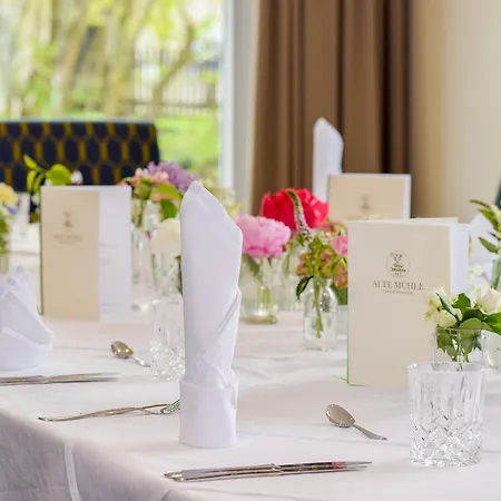Alte Muehle & Restaurant 3* Rodental