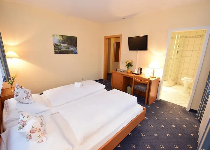 Alte Muehle & Restaurant Hotell 3*